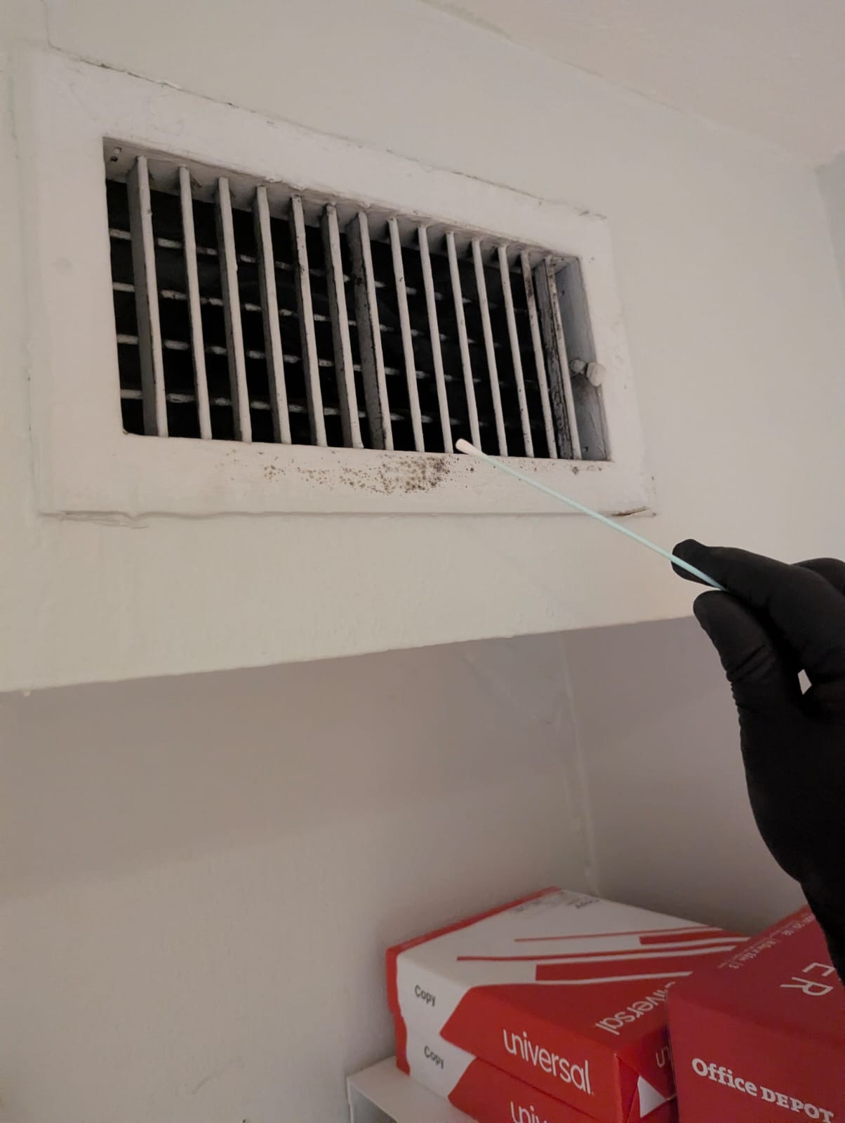 mold on vents