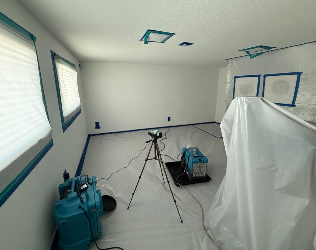 post remediation mold testing